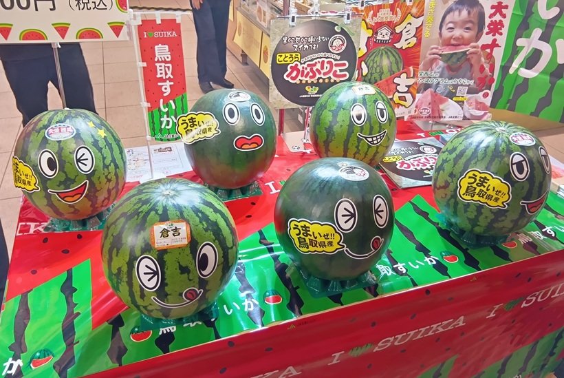 東京駅で旬を迎えた「鳥取すいか」販売イベントを実施
