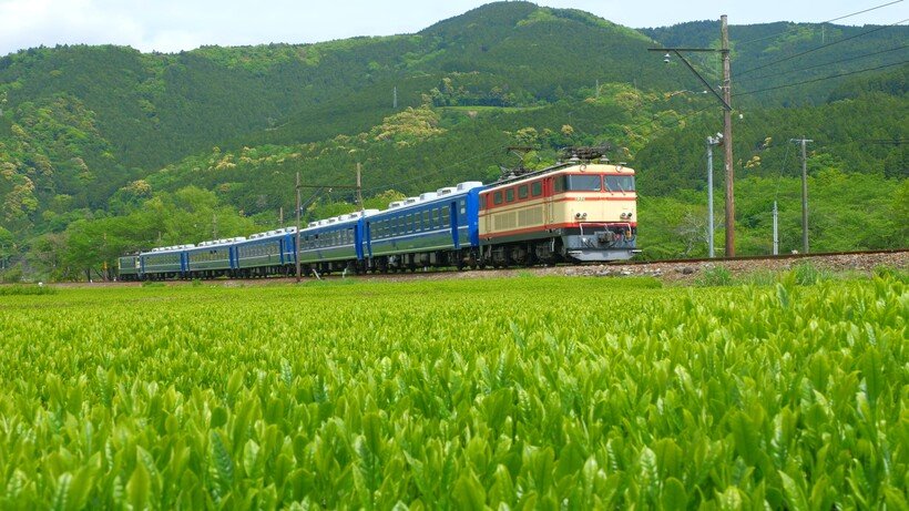 【絶景＆グルメ 観光列車の旅】国鉄仕様の懐かしい車両で清流を眺めながら“静岡”を賞味 大井川鐵道「Train Dining オハシ」