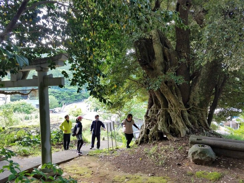 3.巨木_3913.jpg
