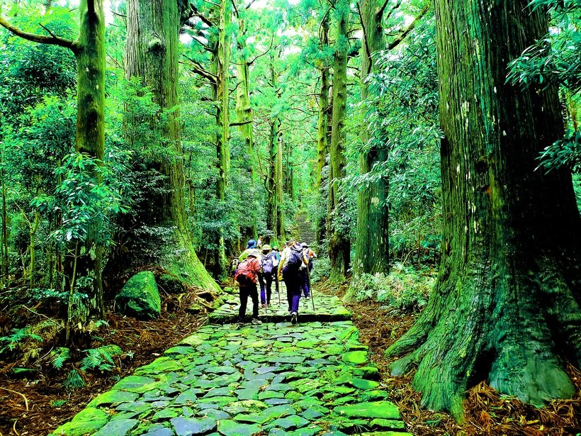 08_623_熊野古道中辺路 大門坂.jpg