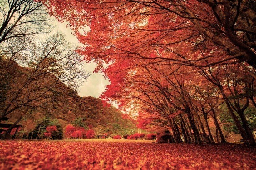 銀山平公園(日光市)小~中.jpg