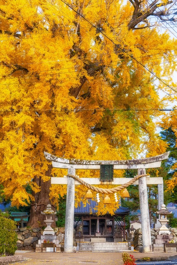 ⑨天川命神社.jpg