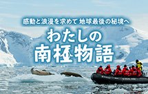 わたしの南極物語