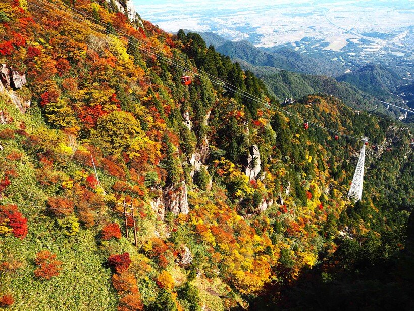 【ロープウェイで秋絶景】温泉街から紅葉と伊勢湾の絶景が待つ山上へ　御在所ロープウエイ＜三重・菰野町＞