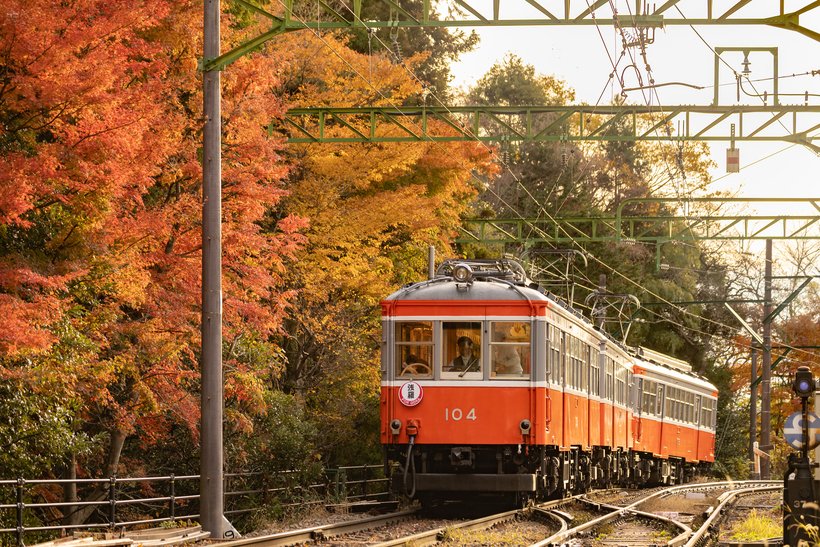 6箱根登山電車.jpg