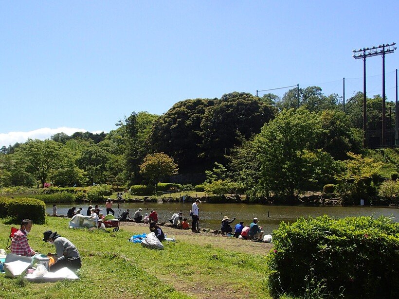 13こども自然公園大池 (2).jpg