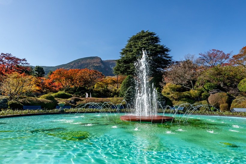 5強羅公園DSC_4893.jpeg