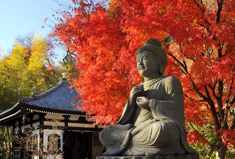 10長谷寺日中横釈迦像.jpg